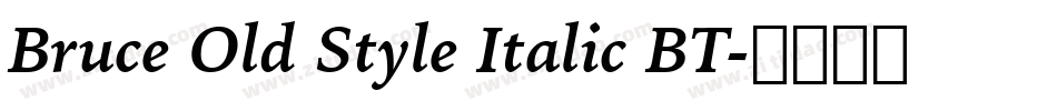 Bruce Old Style Italic BT字体转换